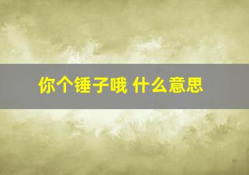 你个锤子哦 什么意思